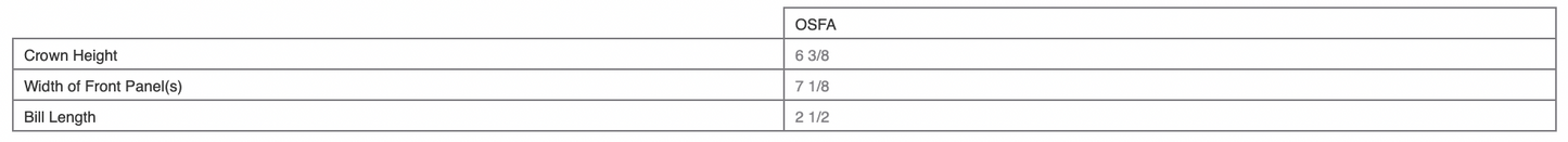 KIDS’ FLYING MAN TRUCKER HAT